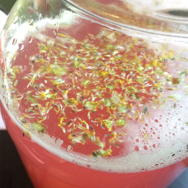 Rhubarb and Electric Daisy Spritzer