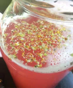 Rhubarb and electric daisy spritzer