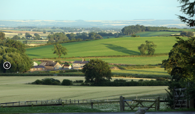 Creating great feasts in a field. Picture courtesy of Deepdale Farm website