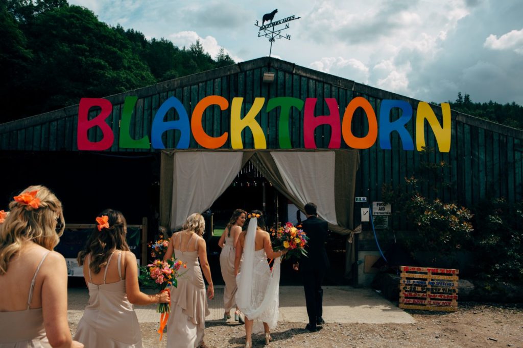 Wedding Fiesta at Whitebottom Farm